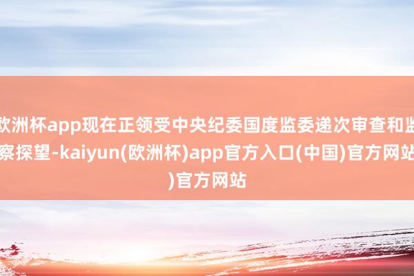 欧洲杯app现在正领受中央纪委国度监委递次审查和监察探望-kaiyun(欧洲杯)app官方入口(中国)官方网站