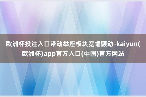 欧洲杯投注入口带动举座板块宽幅颤动-kaiyun(欧洲杯)app官方入口(中国)官方网站