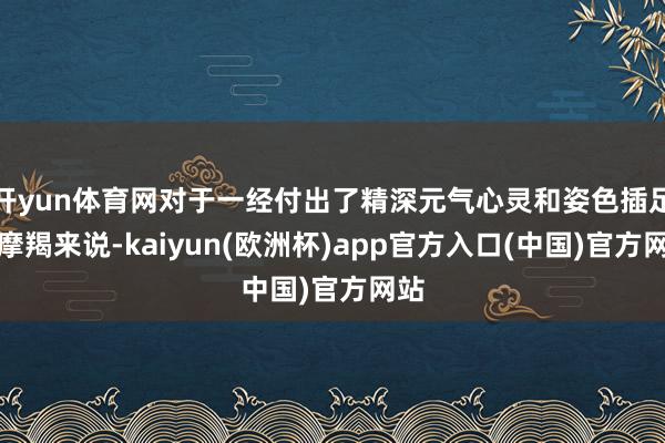 开yun体育网对于一经付出了精深元气心灵和姿色插足的摩羯来说-kaiyun(欧洲杯)app官方入口(中国)官方网站