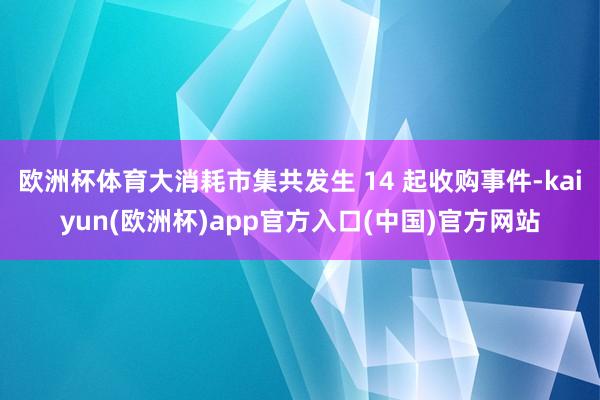 欧洲杯体育大消耗市集共发生 14 起收购事件-kaiyun(欧洲杯)app官方入口(中国)官方网站