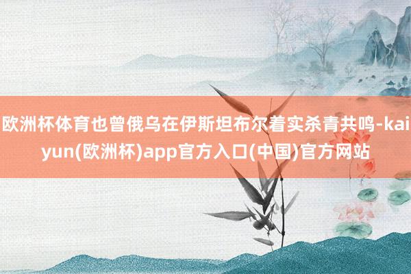 欧洲杯体育也曾俄乌在伊斯坦布尔着实杀青共鸣-kaiyun(欧洲杯)app官方入口(中国)官方网站