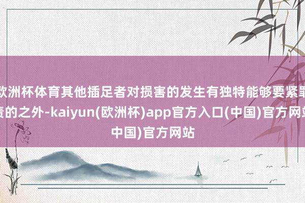 欧洲杯体育其他插足者对损害的发生有独特能够要紧罪责的之外-kaiyun(欧洲杯)app官方入口(中国)官方网站