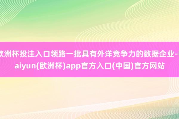 欧洲杯投注入口领路一批具有外洋竞争力的数据企业-kaiyun(欧洲杯)app官方入口(中国)官方网站