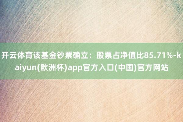 开云体育该基金钞票确立：股票占净值比85.71%-kaiyun(欧洲杯)app官方入口(中国)官方网站