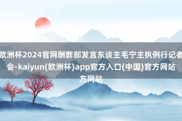 欧洲杯2024官网酬酢部发言东谈主毛宁主执例行记者会-kaiyun(欧洲杯)app官方入口(中国)官方网站