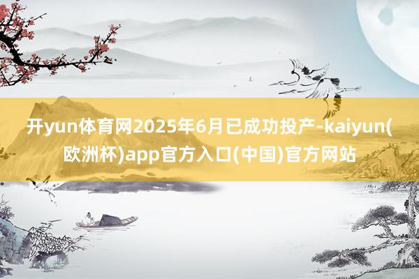 开yun体育网2025年6月已成功投产-kaiyun(欧洲杯)app官方入口(中国)官方网站