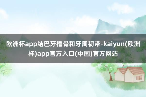 欧洲杯app结巴牙槽骨和牙周韧带-kaiyun(欧洲杯)app官方入口(中国)官方网站