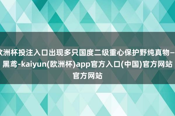 欧洲杯投注入口出现多只国度二级重心保护野纯真物——黑鸢-kaiyun(欧洲杯)app官方入口(中国)官方网站