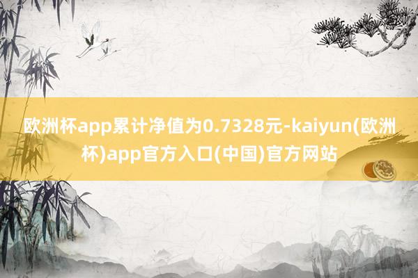 欧洲杯app累计净值为0.7328元-kaiyun(欧洲杯)app官方入口(中国)官方网站