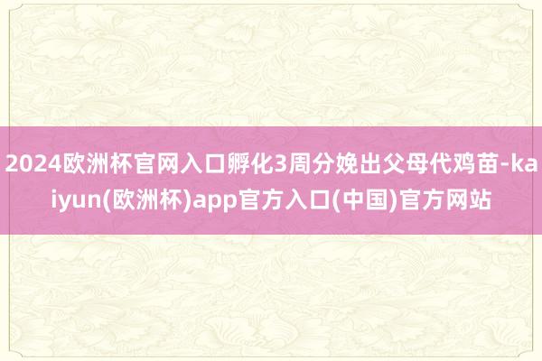 2024欧洲杯官网入口孵化3周分娩出父母代鸡苗-kaiyun(欧洲杯)app官方入口(中国)官方网站