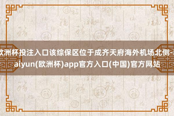 欧洲杯投注入口该综保区位于成齐天府海外机场北侧-kaiyun(欧洲杯)app官方入口(中国)官方网站