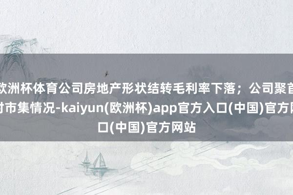 欧洲杯体育公司房地产形状结转毛利率下落;公司聚首现时市集情况-kaiyun(欧洲杯)app官方入口(中国)官方网站