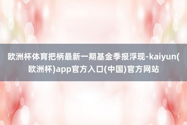欧洲杯体育把柄最新一期基金季报浮现-kaiyun(欧洲杯)app官方入口(中国)官方网站