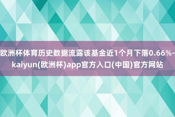 欧洲杯体育历史数据流露该基金近1个月下落0.66%-kaiyun(欧洲杯)app官方入口(中国)官方网站