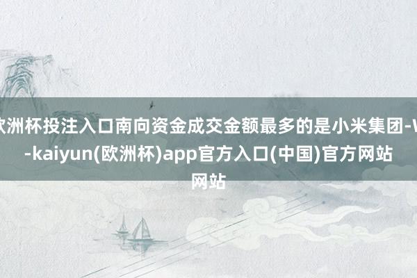 欧洲杯投注入口南向资金成交金额最多的是小米集团-W-kaiyun(欧洲杯)app官方入口(中国)官方网站